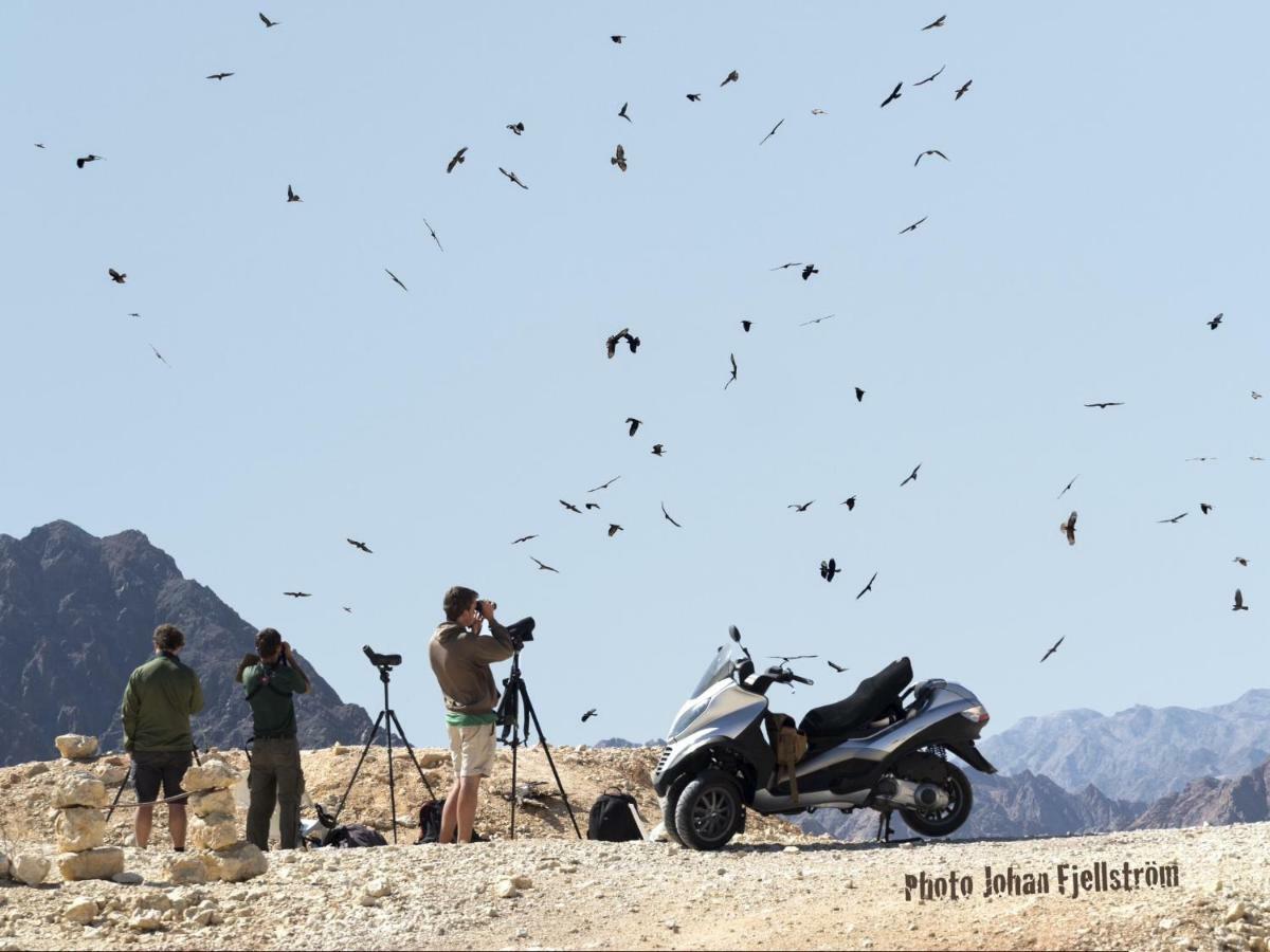 The Birdwatchers Nest Be'er Ora